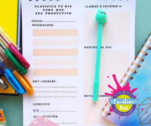 Planeador - Arma tu Box Niñas de a 8 a 12 años | Creative Box Colombia