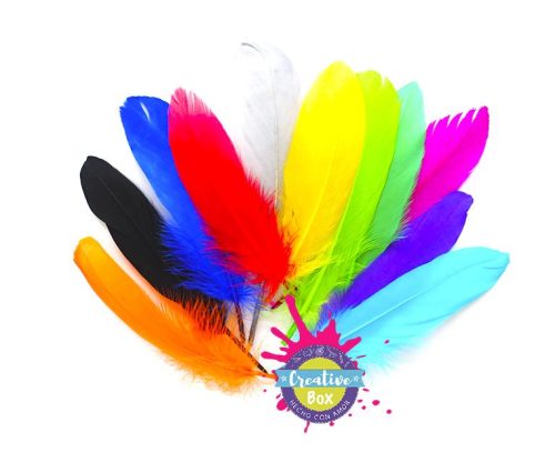 Plumas de Colores - Papelería para Niños | Creative Box Colombia