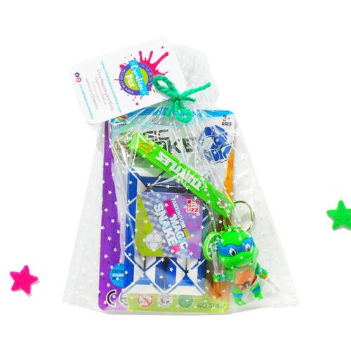 Turtles Party Bag