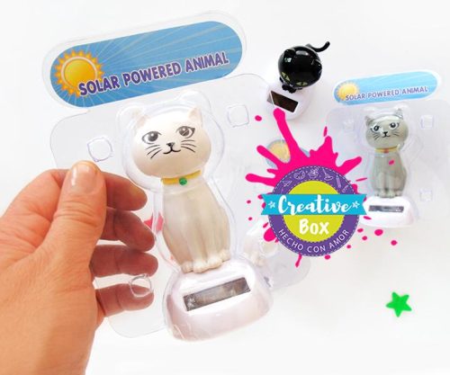 Gato Luz Solar kit didáctico creativo para fiestas y cumpleaños infantiles