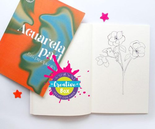 Libro para Acuarelas - Arma tu Box Niñas de a 8 a 12 años | Creative Box Colombia